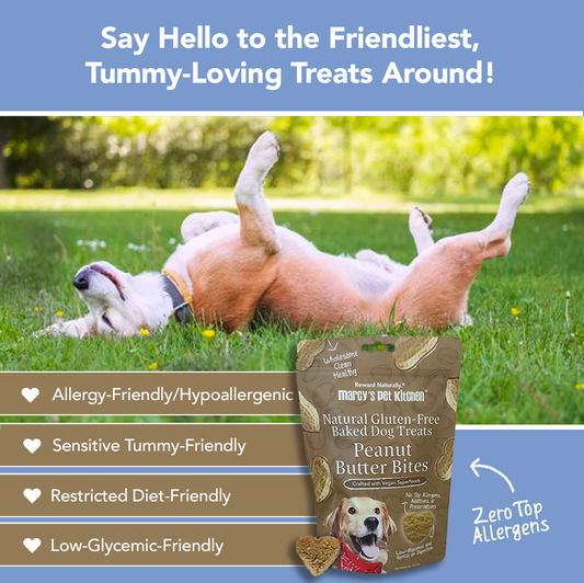 Peanut Butter Biscuit Dog Treats