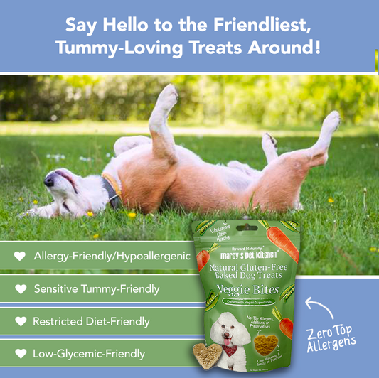 Veggie Biscuit Dog Treats