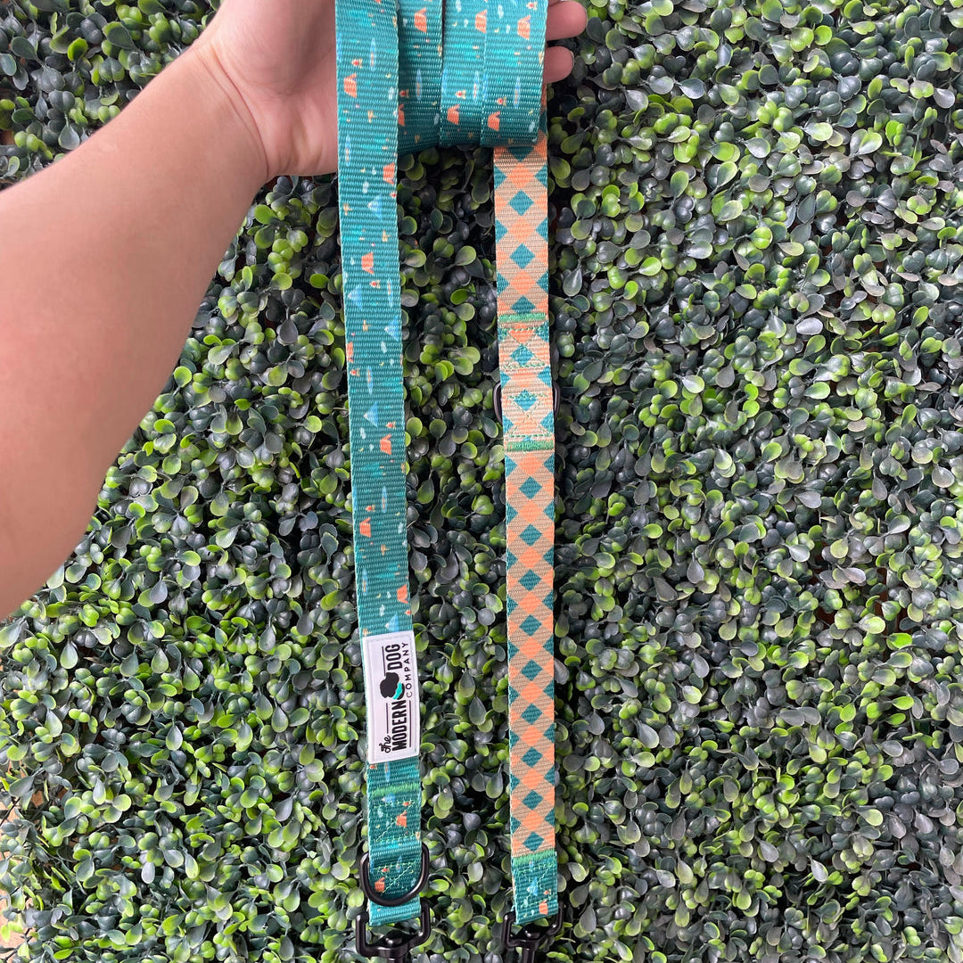 Teal dog leash with pattern held by a hand on a green artificial grass background
