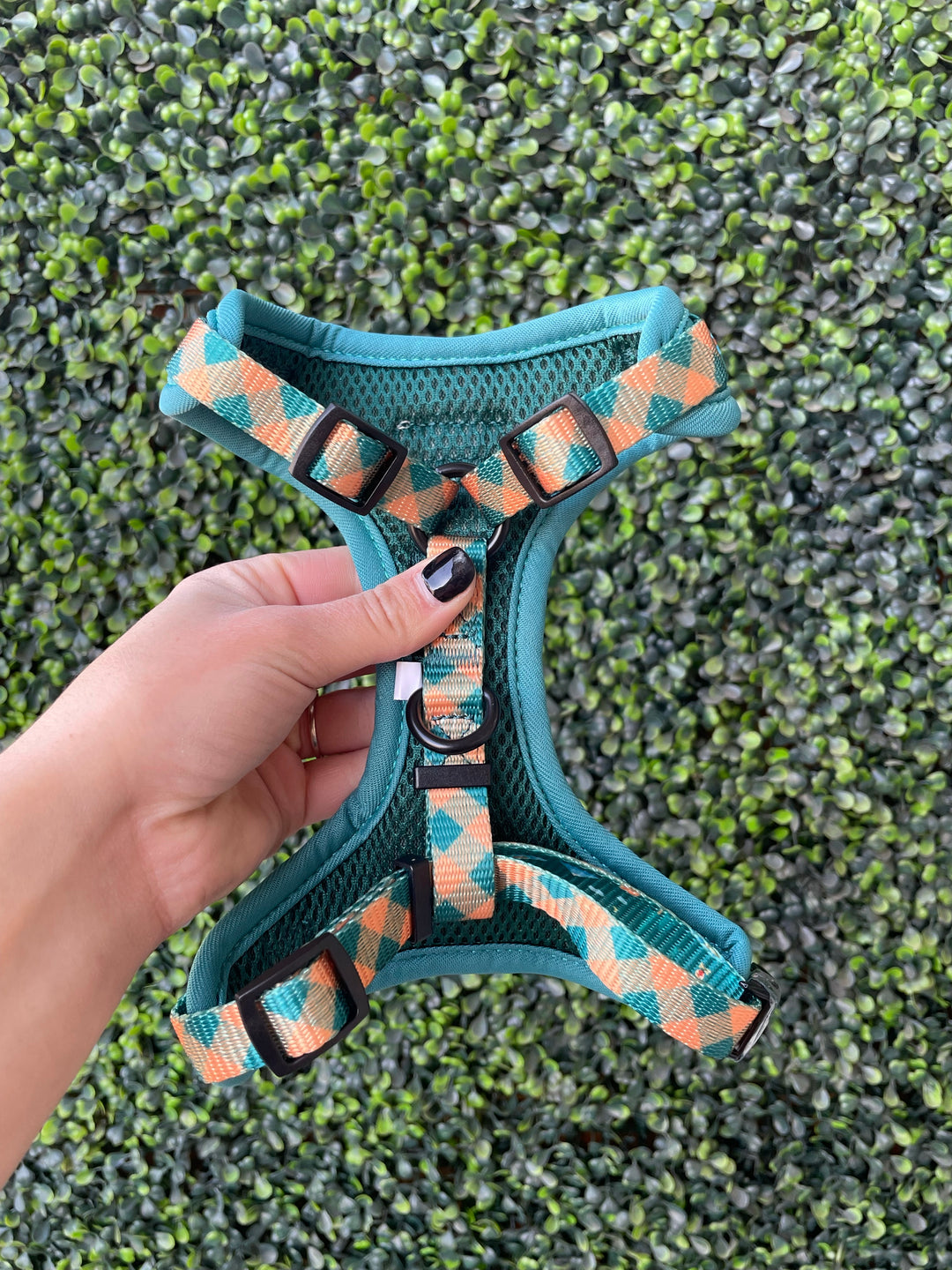 Camping Print Harness