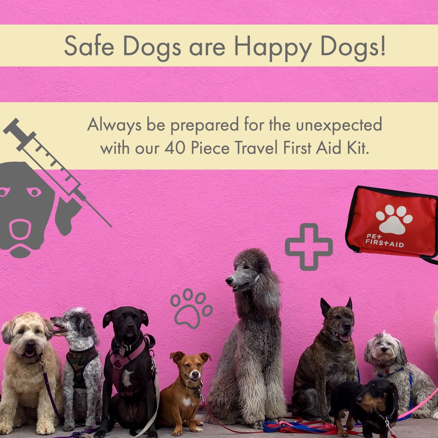 First Aid Kit for Pets