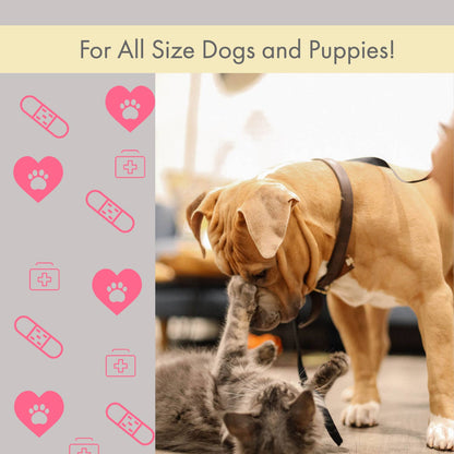 First Aid Kit for Pets