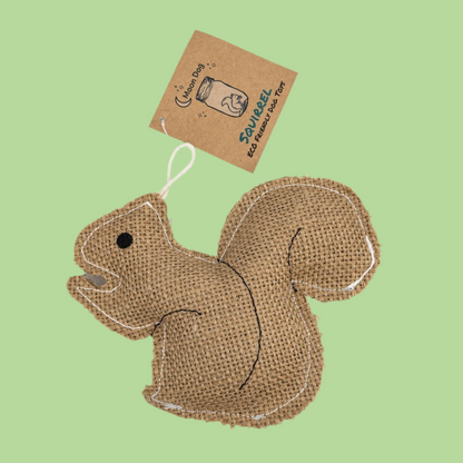 squirrel 