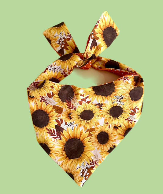 Sunflower dog bandana