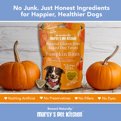 Pumpkin Biscuit Dog Treats