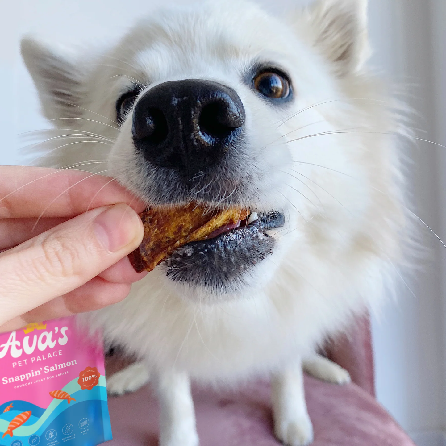 Ava's Snappin' Salmon Treats