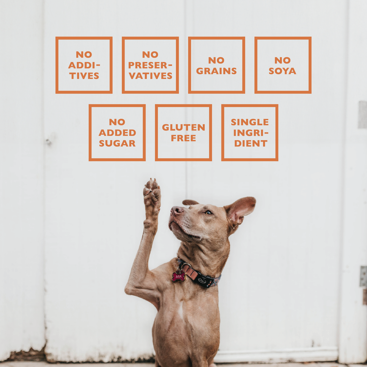 Lamb Lung Dog Treats |  BAFFS NATURALS (7oz Bag)
