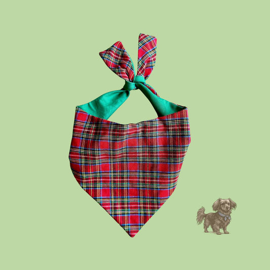 Red plaid dog bandana with green trim on a light green background