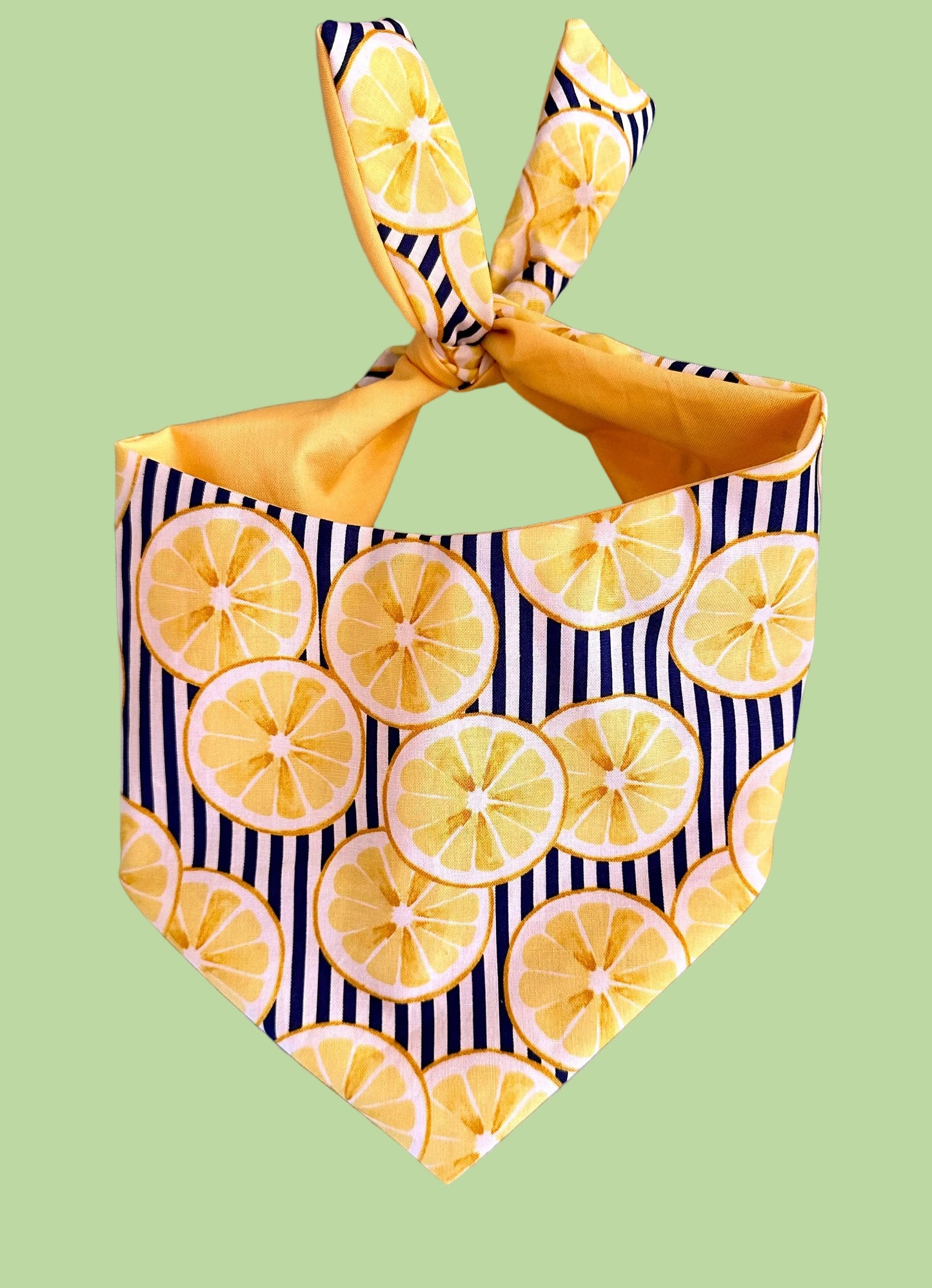 Lemon Dog Bandana
