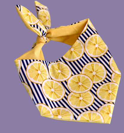 Dog bandana with lemon and striped pattern on a teal background