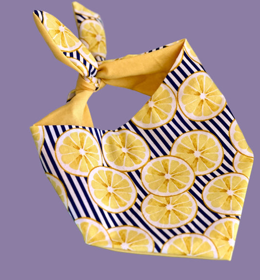 Dog bandana with lemon and striped pattern on a teal background