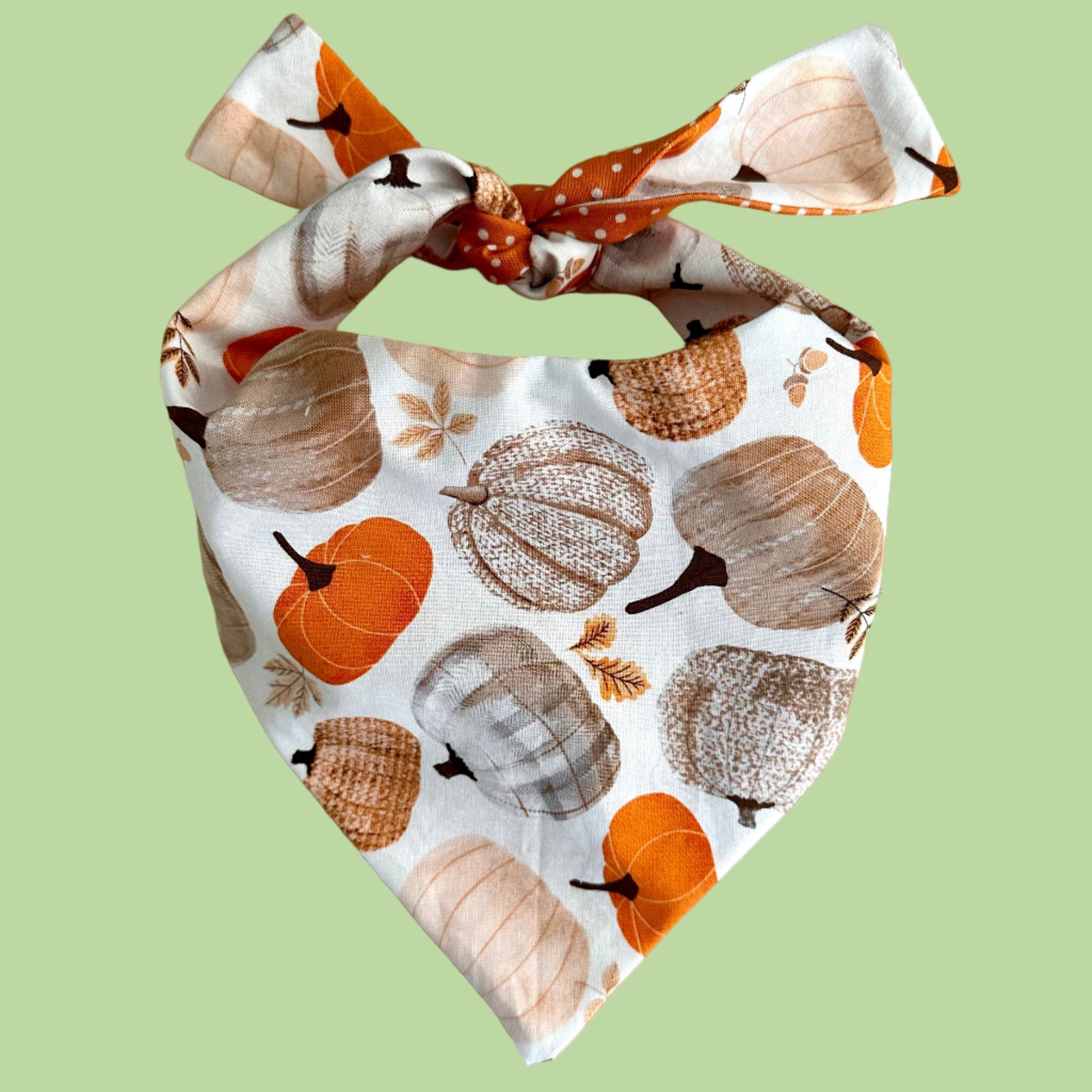 Dog bandana with pumpkin pattern on a beige background